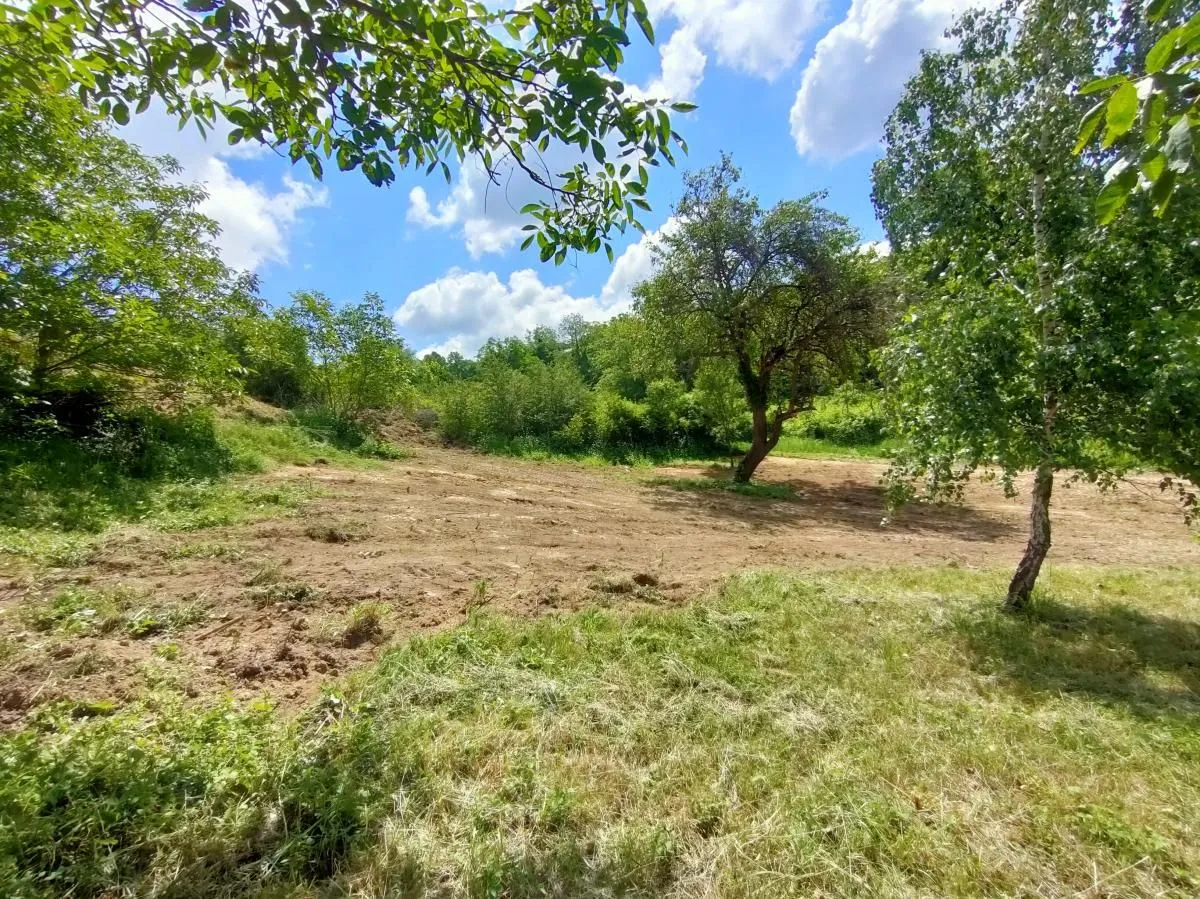 Prodaja, plac, 1500m², Rakovac, Novi Sad Sve Podlokacije