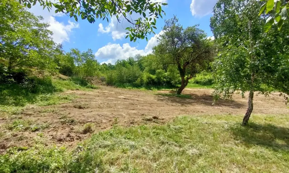 Sale, land lot, 1500m², Rakovac, Novi Sad Sve Podlokacije