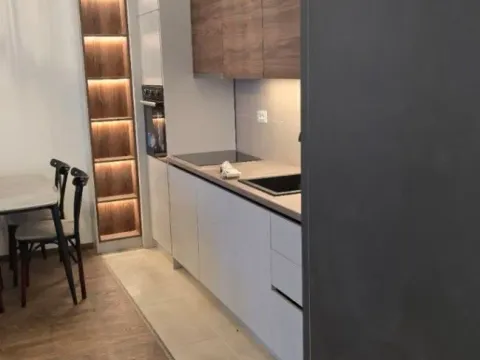 Prodaja, jednosoban stan, 46m², Zabjelo, Podgorica - image 2