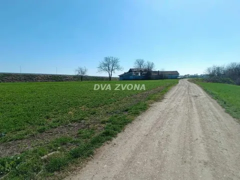 Prodaja, plac, 5100m², Centar, Inđija - image 2