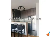 Izdavanje, dvosoban stan, 43m², Vračar Sve Podlokacije, Beograd - image 4