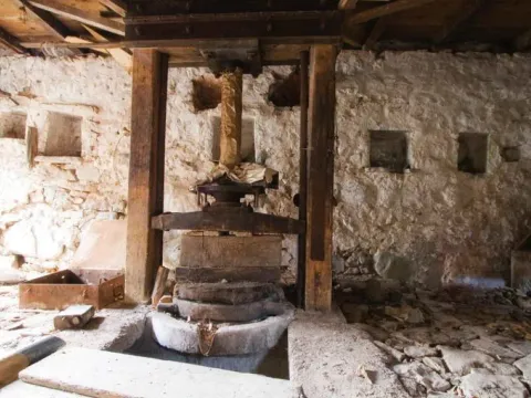 Prodaja, plac, 1774m², Herceg Novi, Crna Gora - image 3