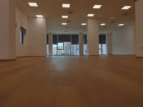 Izdavanje, poslovni prostor, 167m², Zabjelo, Podgorica - image 10