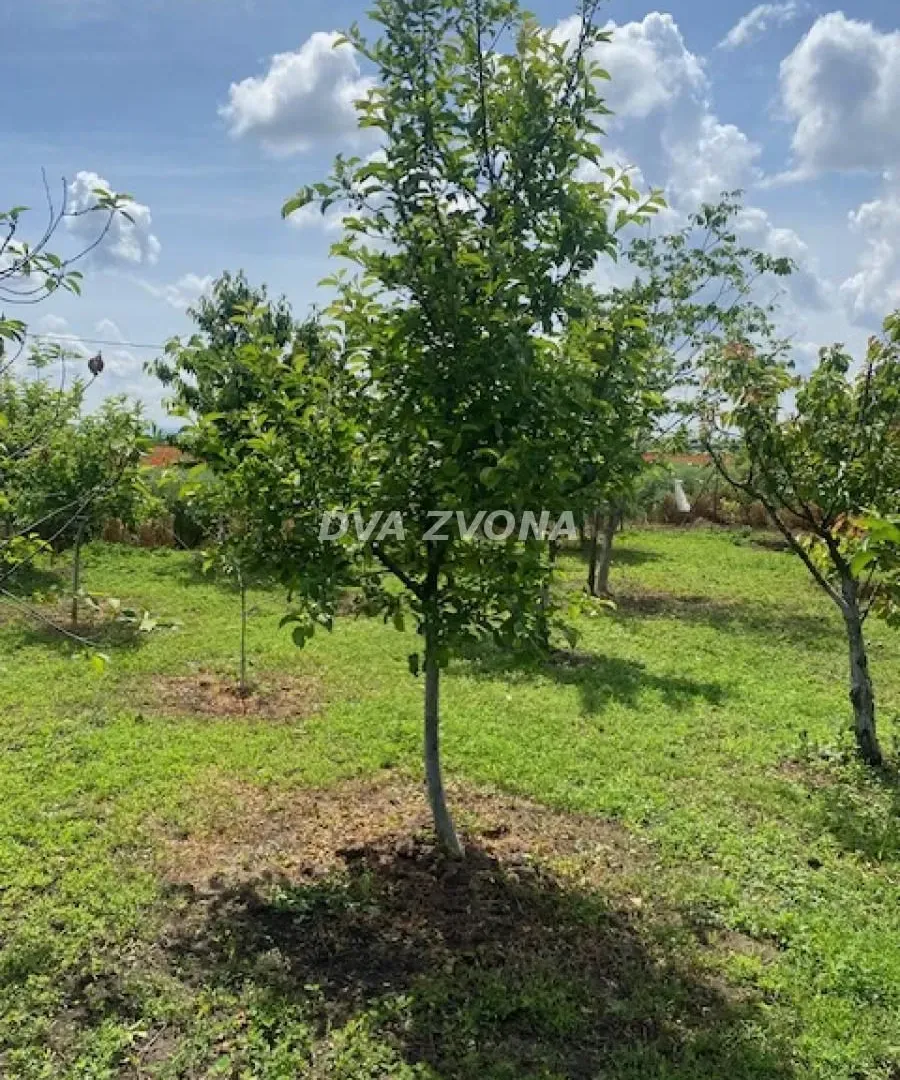 Prodaja, kuća, 37m², Čenej, Novi Sad Sve Podlokacije
