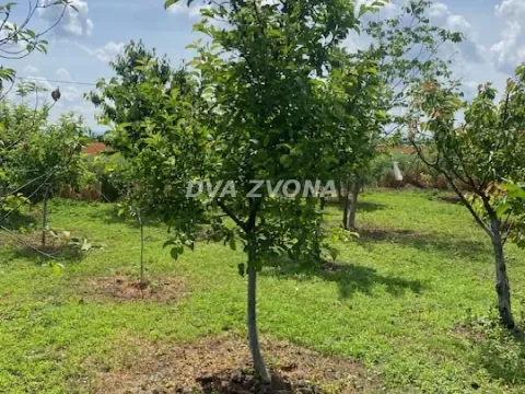 Sale, house, 37m², Čenej, Novi Sad Sve Podlokacije - image 14