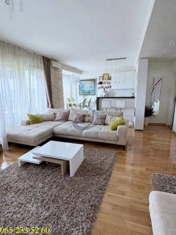 Sale, four bedroom apartment, 270m², Skojevsko Naselje, Beograd