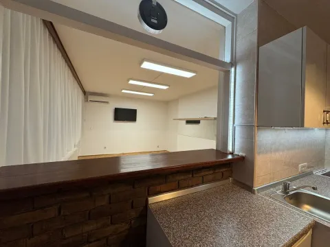 Izdavanje, dvosoban stan, 53m², Vračar Sve Podlokacije, Beograd - image 7