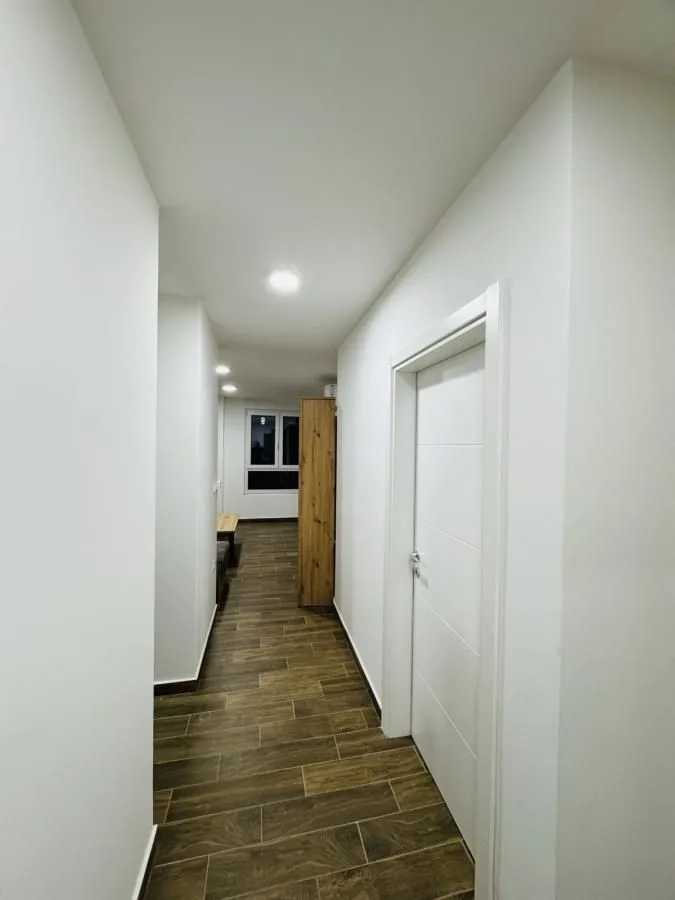 Izdavanje, jednosoban stan, 50m², Palilula, Niš
