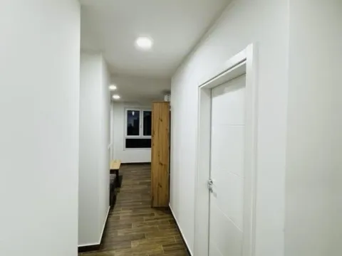 Izdavanje, jednosoban stan, 50m², Palilula, Niš - image 11