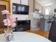 Izdavanje, jednosoban stan, 50m², Blok 9, Podgorica - image 3