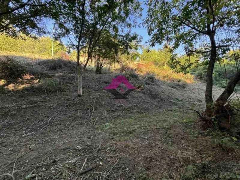 Prodaja, plac, 1666m², Beška, Inđija