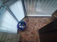 Izdavanje, jednosoban stan, 41m², Sremska Kamenica, Petrovaradin - image 3