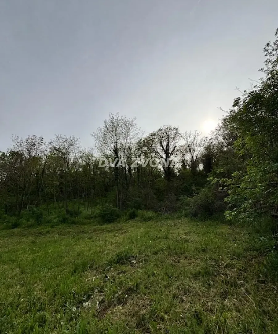 Prodaja, plac, 1900m², Čortanovci, Inđija
