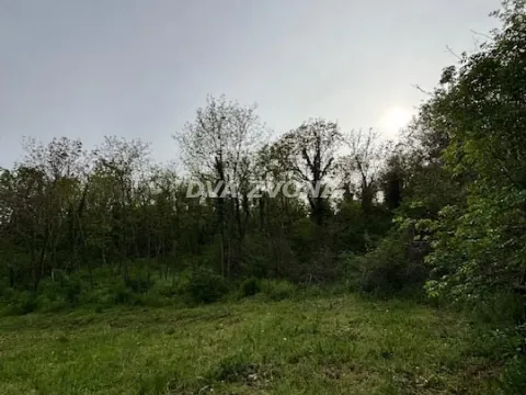 Prodaja, plac, 1900m², Čortanovci, Inđija - image 2