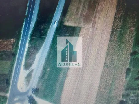 Sale, land lot, 44m², Palilula, Niš