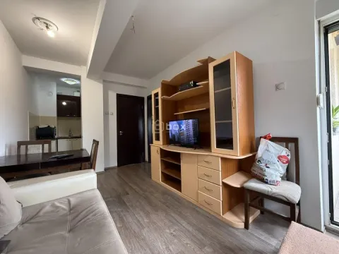 Rent, one bedroom apartment, 28m², Pantelej, Niš - image 2