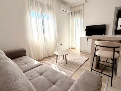 Rent, studio apartment, 25m², Zabjelo, Podgorica - image 4