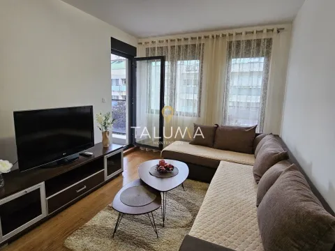 Izdavanje, jednosoban stan, 47m², Tološi, Podgorica - image 1