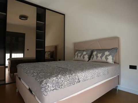 Izdavanje, jednosoban stan, 47m², Nova Dalmatinska, Podgorica - image 16