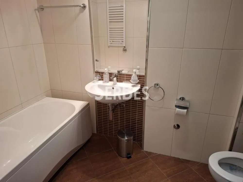 Bathroom equipped with a bathtub, washbasin, and toilet.