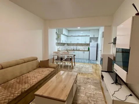 Rent, one bedroom apartment, 44m², Tuški Put, Podgorica - image 2