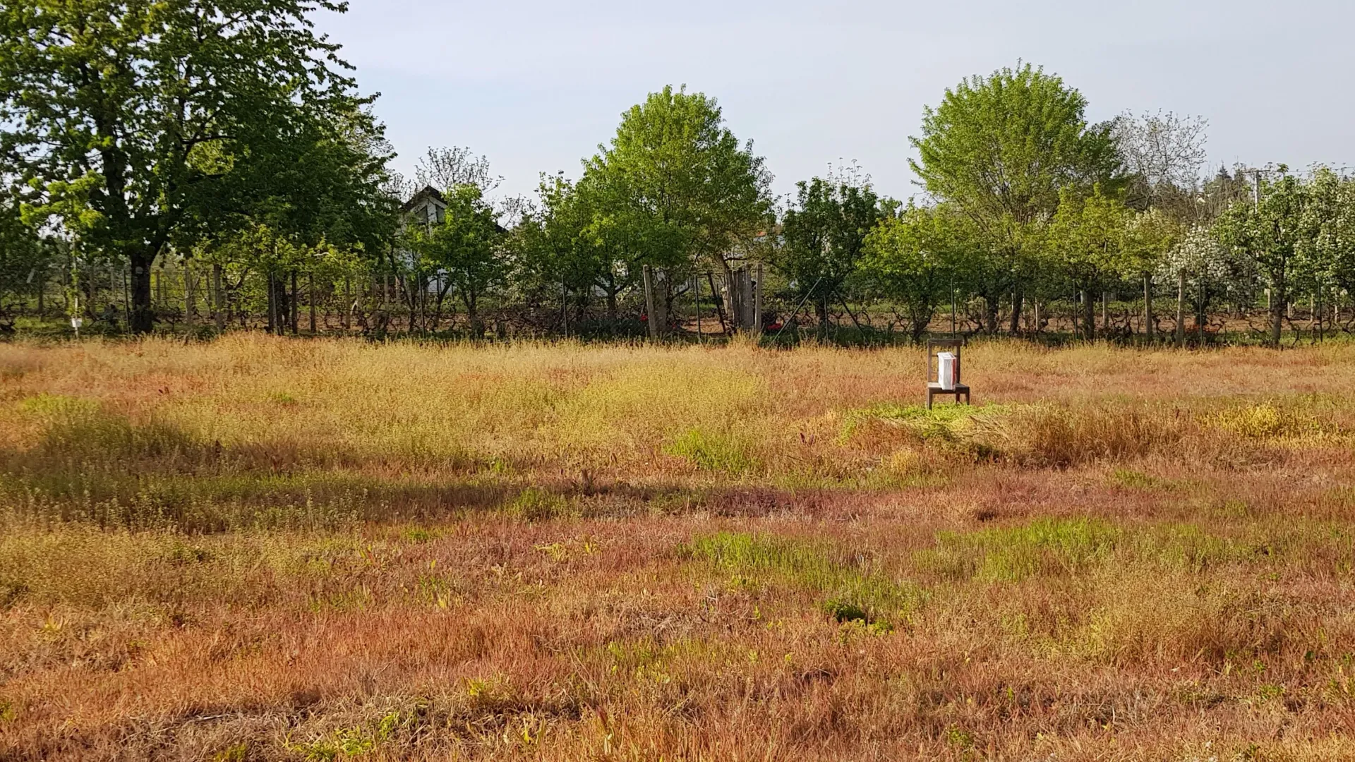 Prodaja, plac, 1700m², Fruška Gora, Novi Sad