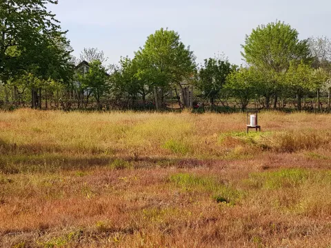 Prodaja, plac, 1700m², Fruška Gora, Novi Sad - image 3