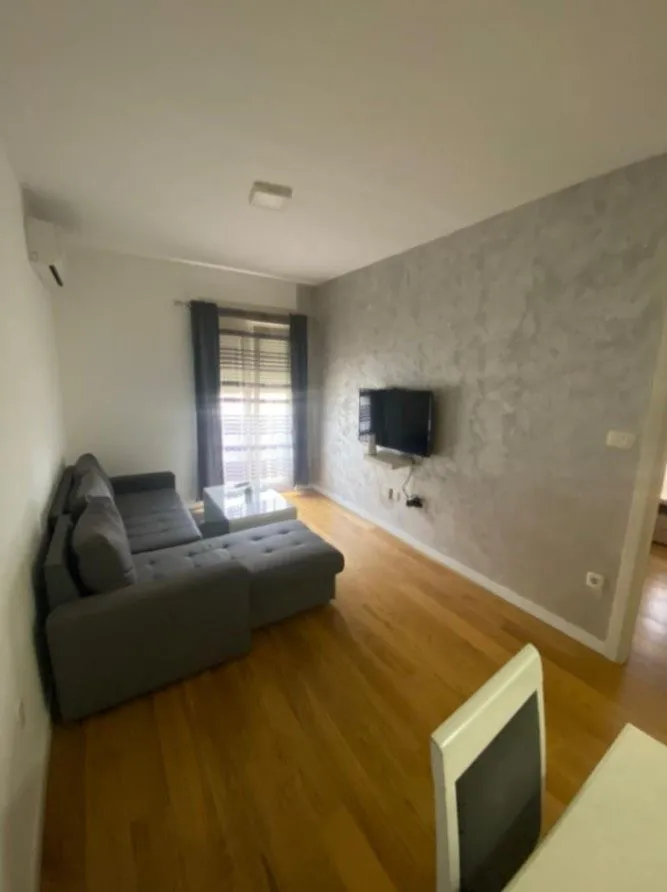 Izdavanje, jednosoban stan, 45m², Central Point, Podgorica