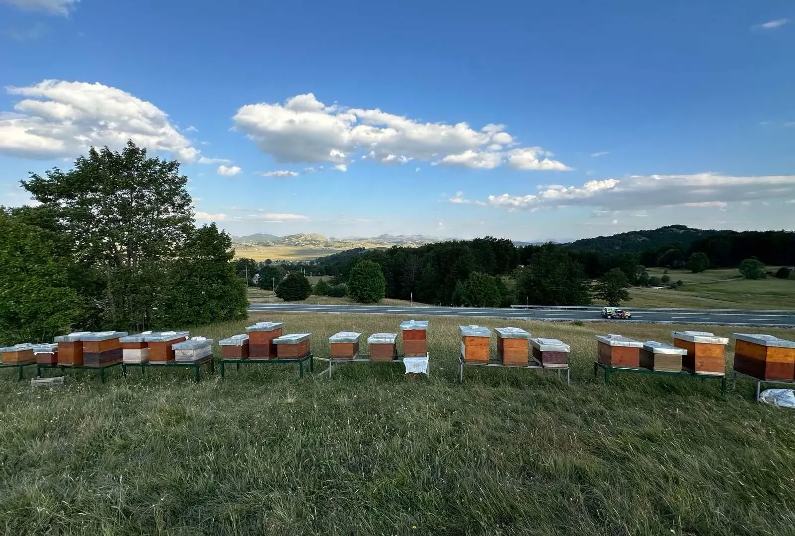 Prodaja, plac, 950m², Pošćenski Kraj, Žabljak