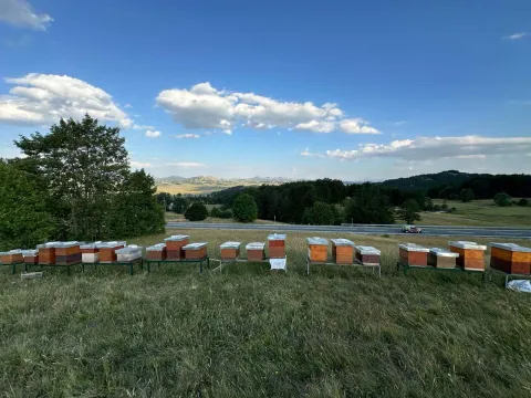 Prodaja, plac, 950m², Pošćenski Kraj, Žabljak - image 3