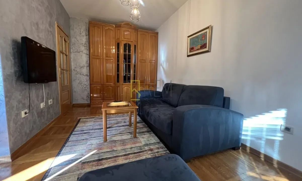 Izdavanje, jednosoban stan, 45m², Preko Morače, Podgorica