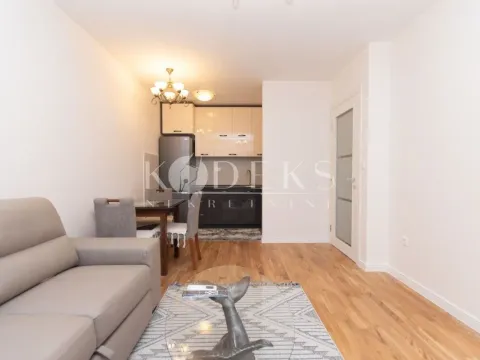 Izdavanje, jednosoban stan, 39m², Zabjelo, Podgorica - image 1