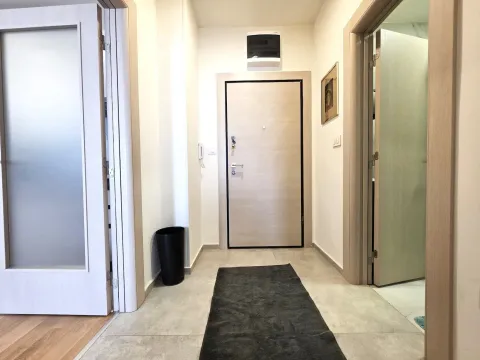 Izdavanje, stan, 49m², Stara Varoš, Podgorica - image 7