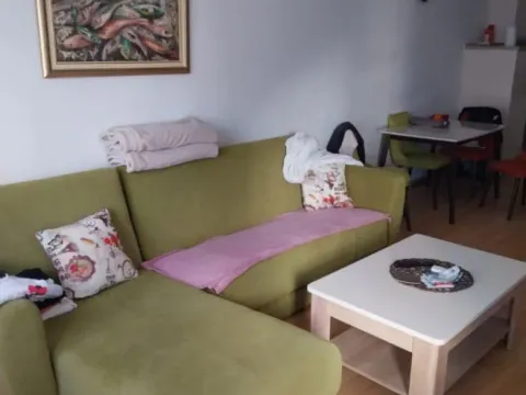 Sale, one bedroom apartment, 45m², Maslinjak, Budva - image 3