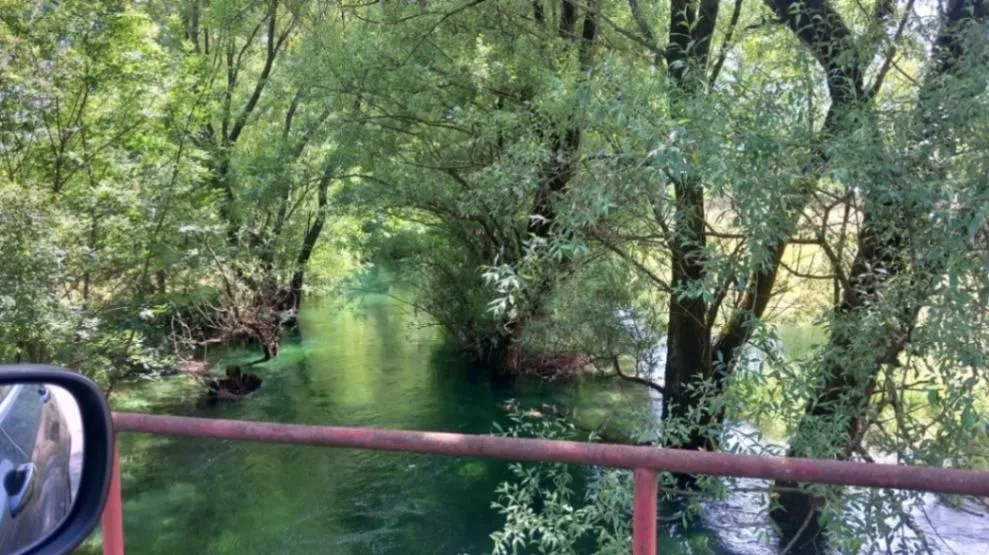 Prodaja, plac, 8500m², Bandići, Danilovgrad