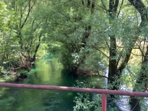 Sale, land lot, 8500m², Bandići, Danilovgrad - image 4