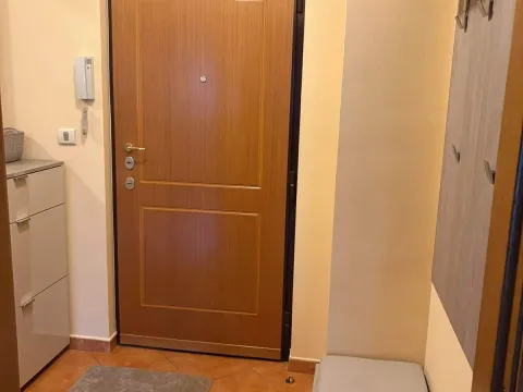 Izdavanje, jednosoban stan, 47m², Podgorica, Crna Gora - image 2