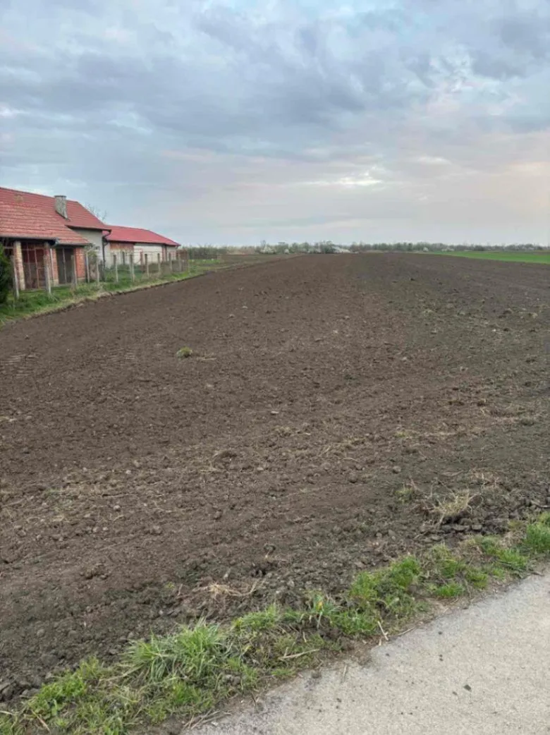 Prodaja, plac, 11000m², Vrbas, Novi Sad