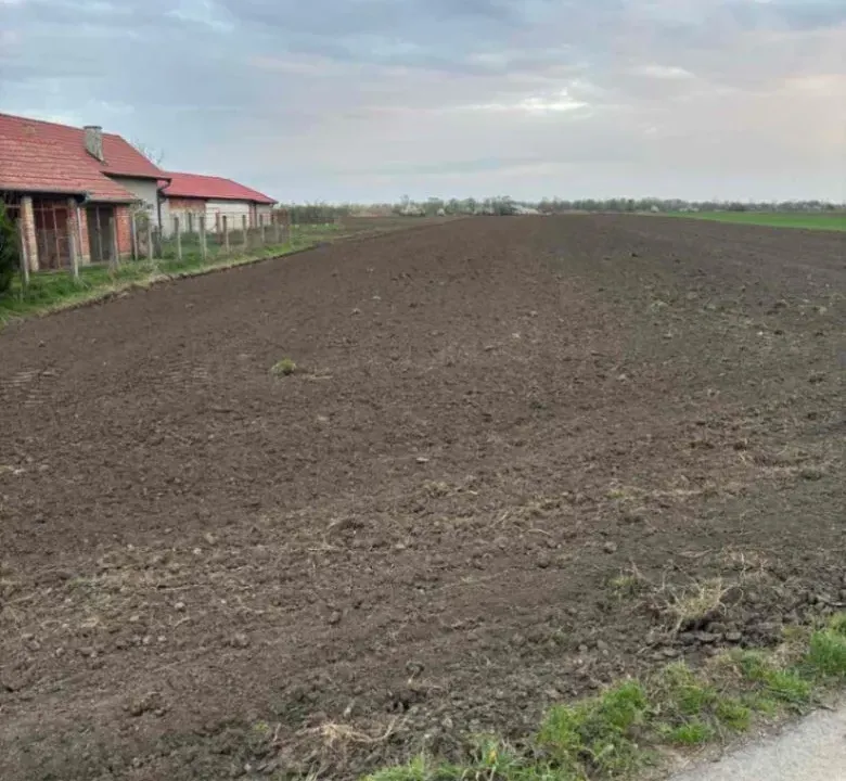 Sale, land lot, 11000m², Vrbas, Novi Sad