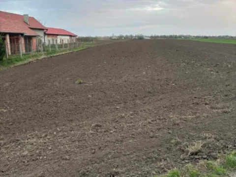 Prodaja, plac, 11000m², Vrbas, Novi Sad - image 1