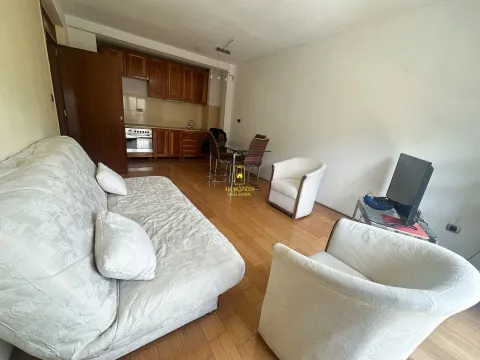 Sale, one bedroom apartment, 41m², Vezirov Most, Podgorica - image 4