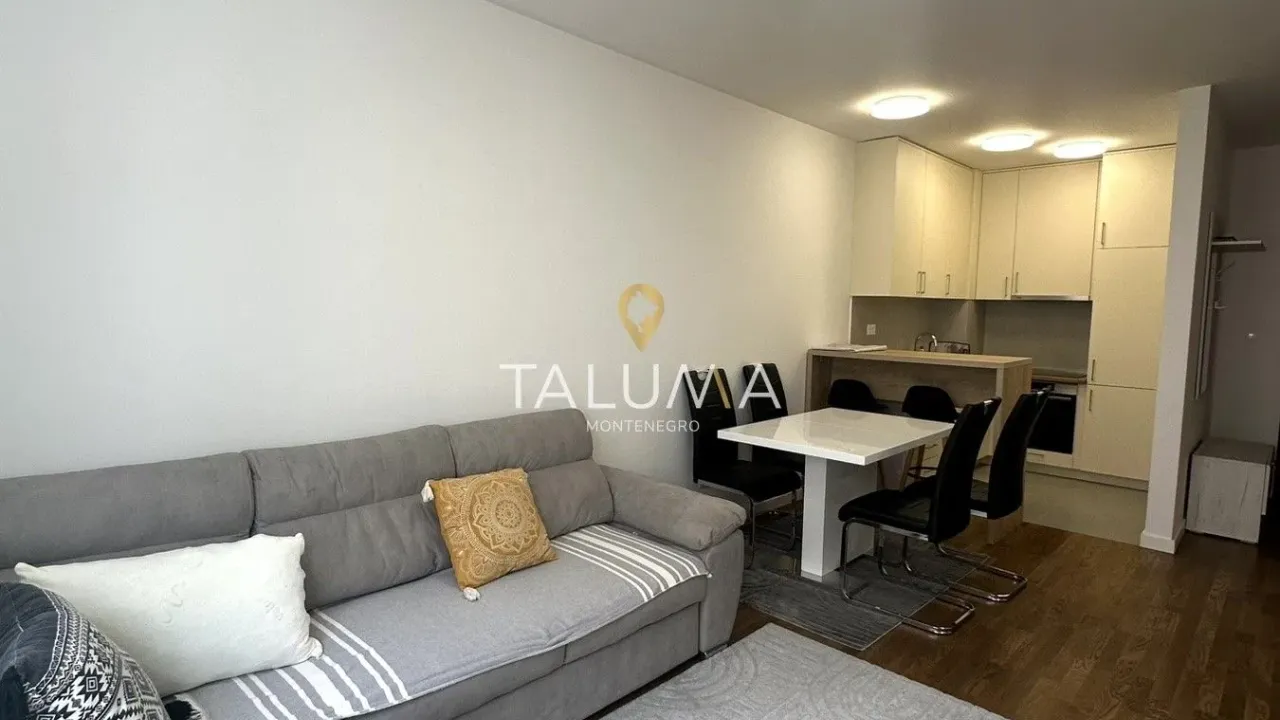 Rent, one bedroom apartment, 48m², Stari Aerodrom, Podgorica