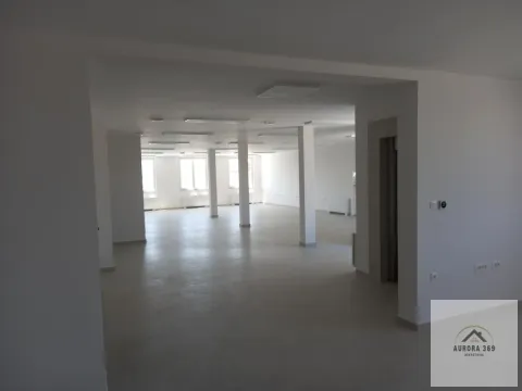 Izdavanje, poslovni prostor, 250m², Veternik, Novi Sad Sve Podlokacije - image 4