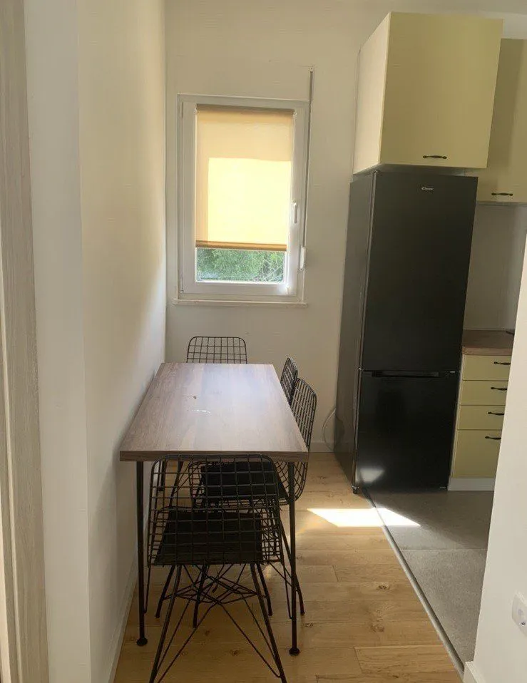 Izdavanje, jednosoban stan, 42m², Centar, Podgorica