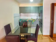 Izdavanje, jednosoban stan, 41m², Stari Aerodrom, Podgorica - image 10