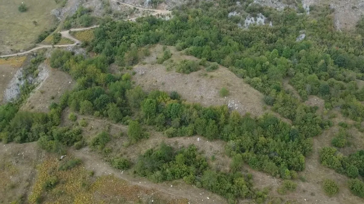 Prodaja, plac, 41000m², Donje Lipovo, Kolašin