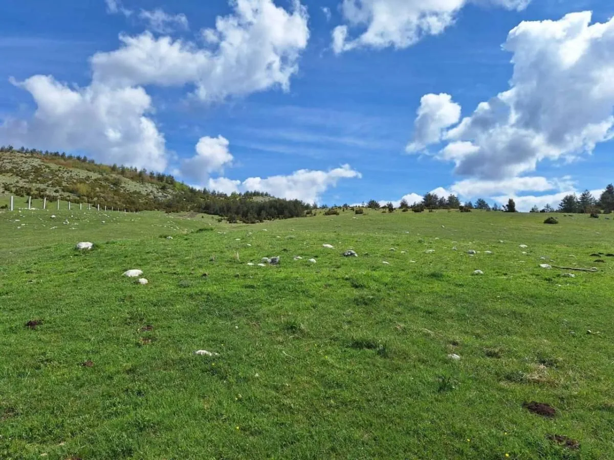Prodaja, plac, 6300m², Borje, Žabljak