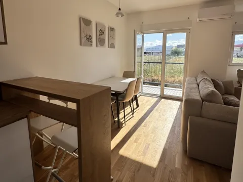 Izdavanje, jednosoban stan, 47m², Zabjelo, Podgorica - image 1