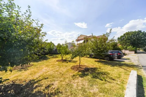 Green yard with orchard and parking space in front of the house. - image 16