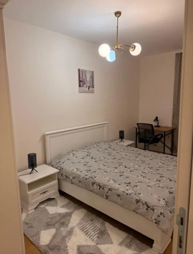 Izdavanje, jednosoban stan, 47m², Central Point, Podgorica